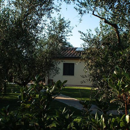 Agriturismo Dallolivo Bolgheri Exterior photo