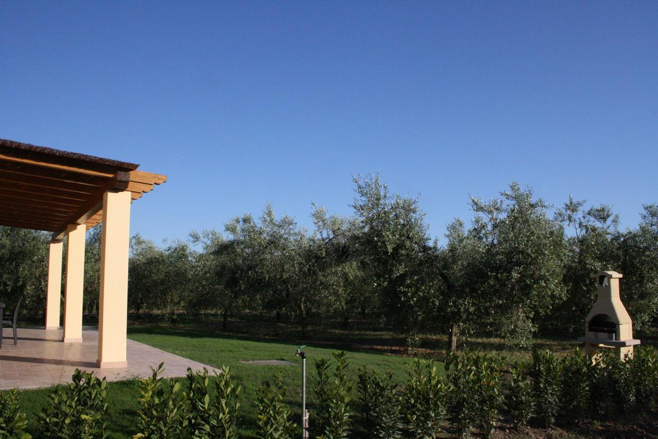 Agriturismo Dallolivo Bolgheri Exterior photo