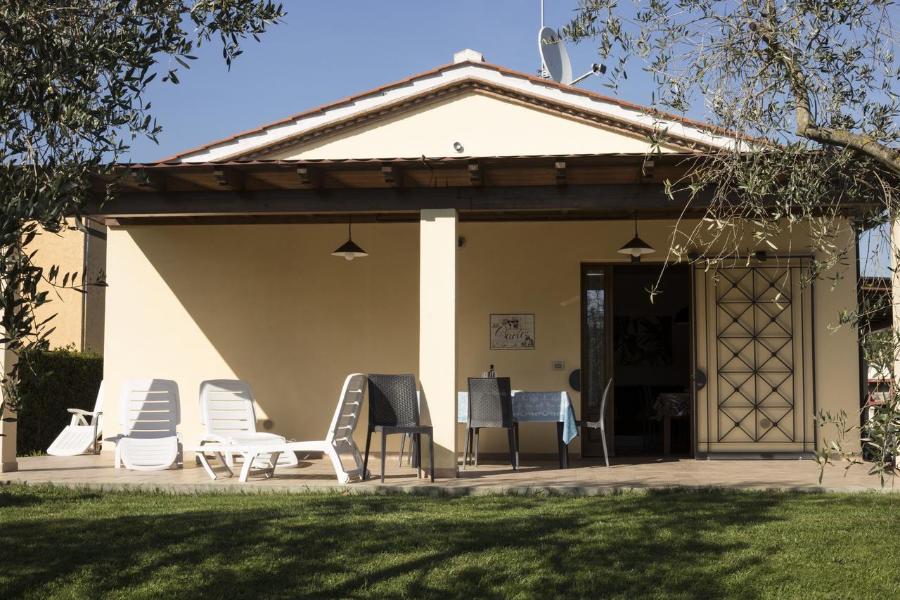 Agriturismo Dallolivo Bolgheri Exterior photo